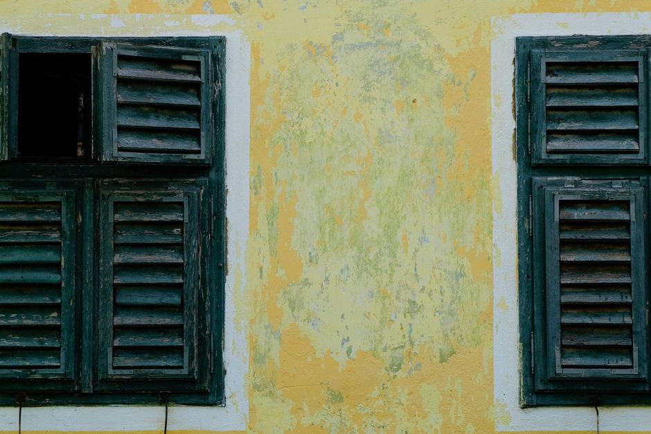 Close up of a freshly painted wall and trim