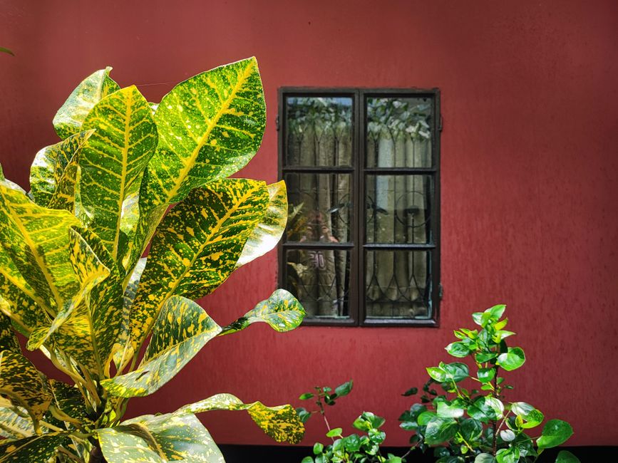 Colourful painted house front